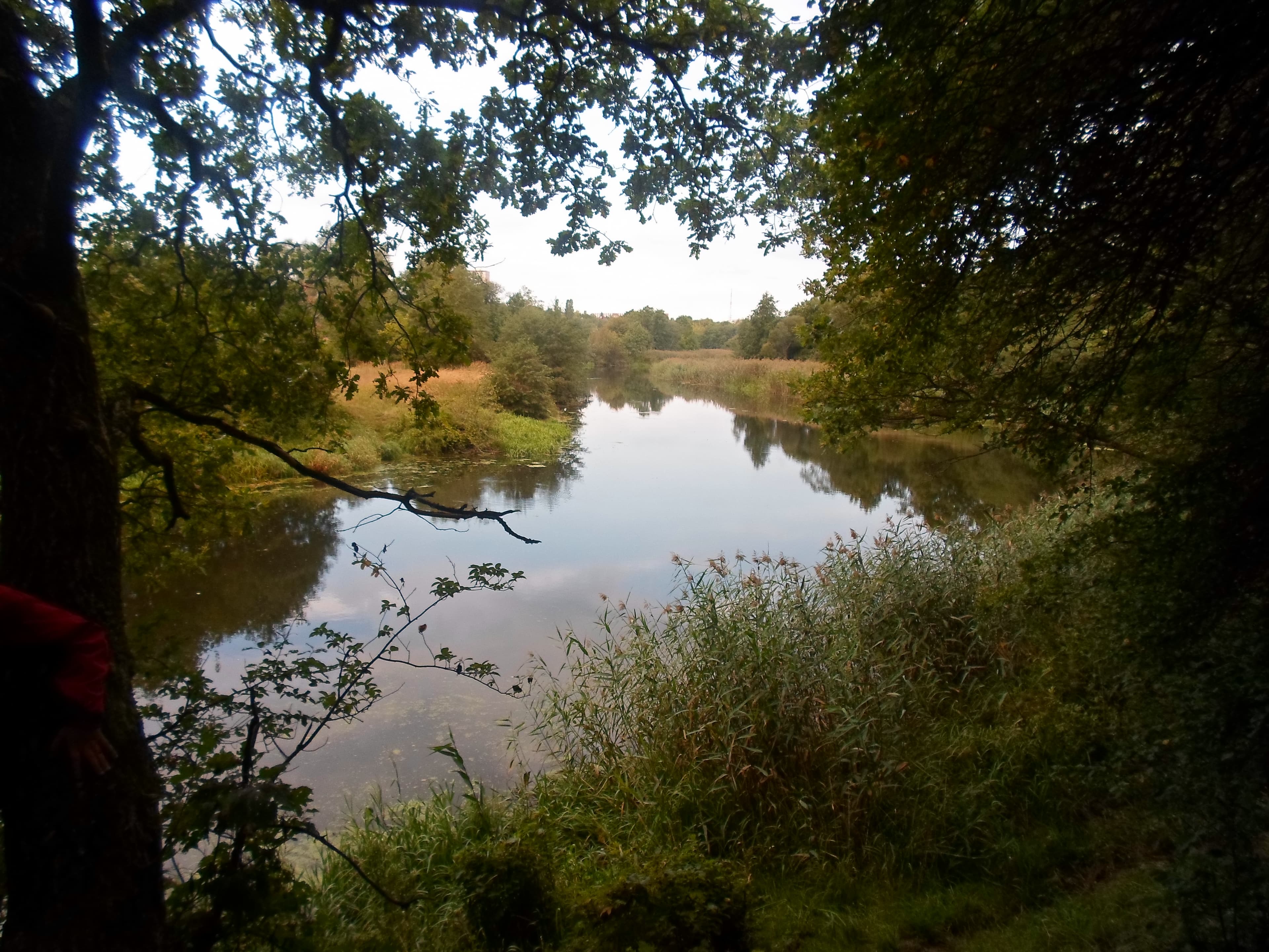 Pažintinis maršrutas šeimoms - Velniškai įdomi karališka istorija (viršelis)