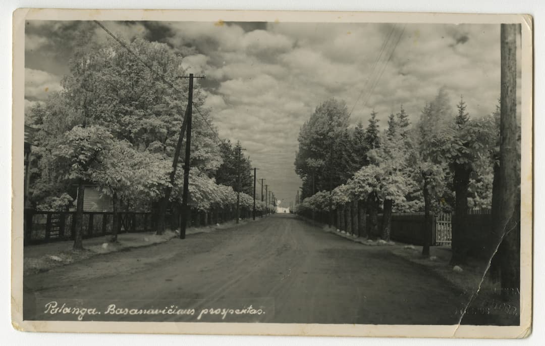 Lietuva, Palanga, J. Basanavičius