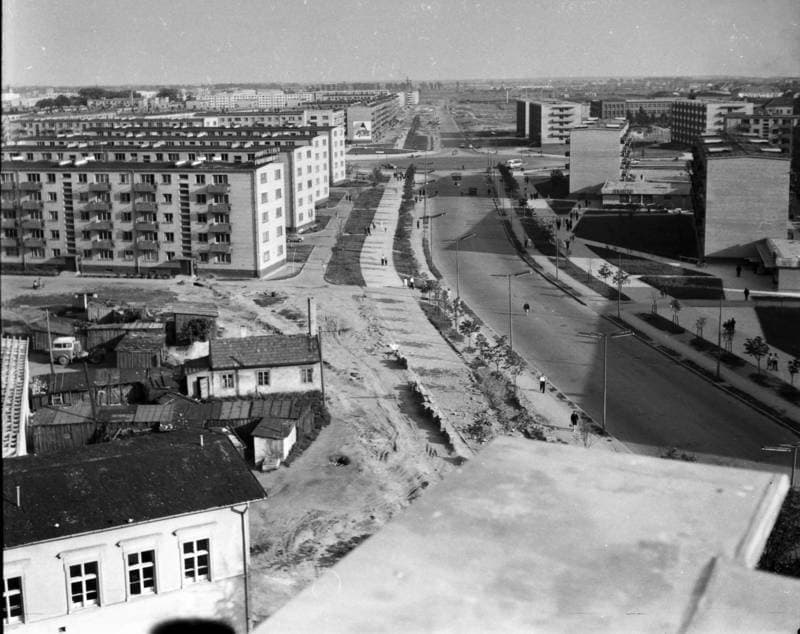 Klaipėda. Taikos prospekto panorama iš devynaukščio Taikos pr. 3